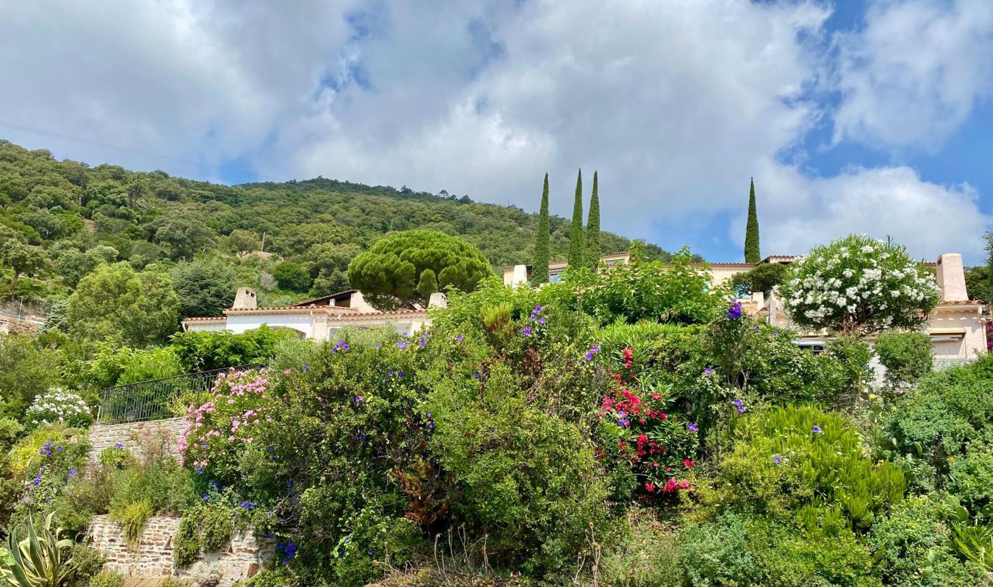 Villa Baievue Cavalaire-sur-Mer Exterior foto